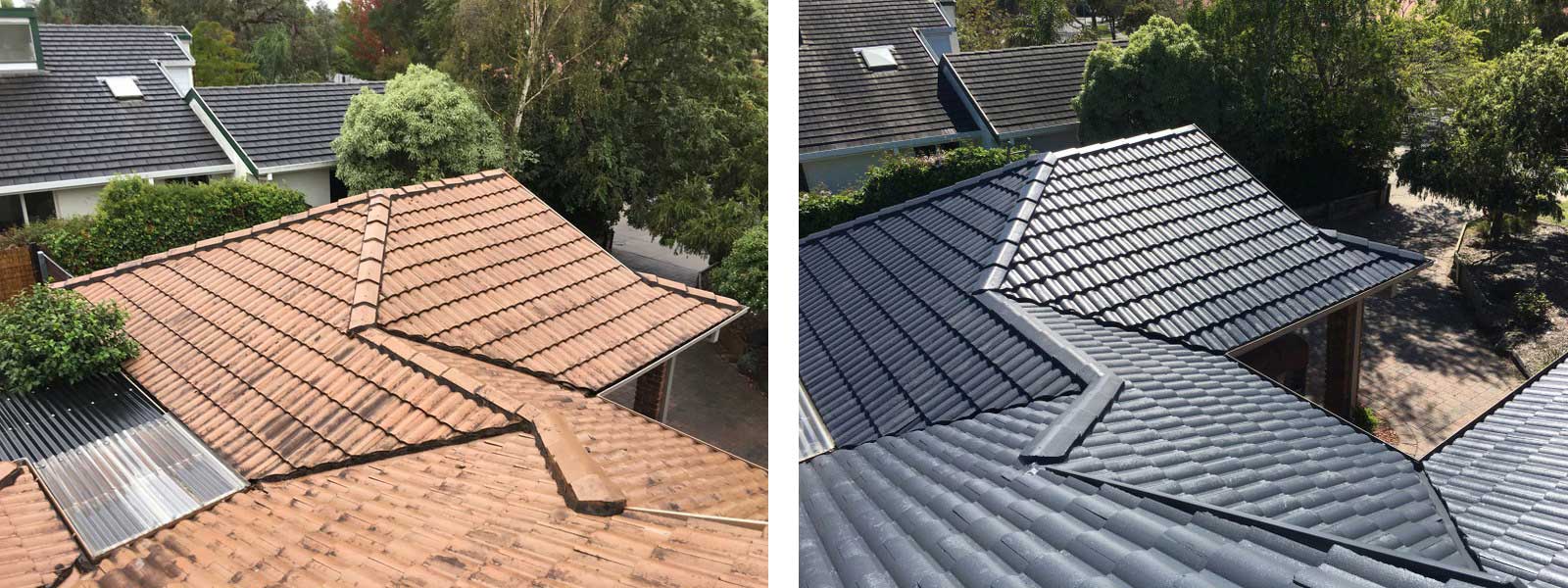 Roof Transformation - Auckland